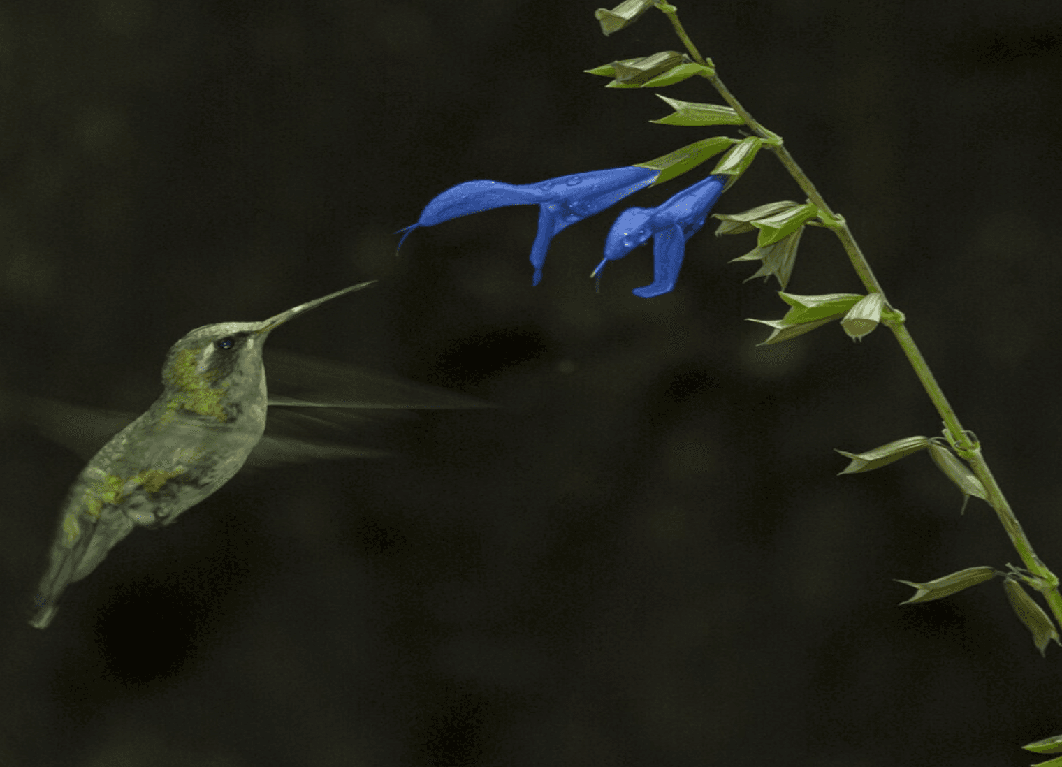 Sustainability in action