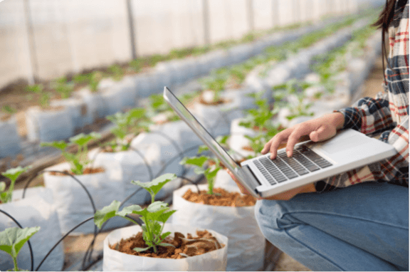 Digitalisation of Seeds Supply Chain — connected ecosystem from grower to distribution